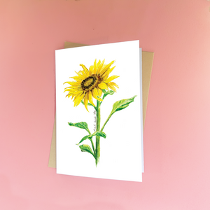 Sunrise Greeting Card