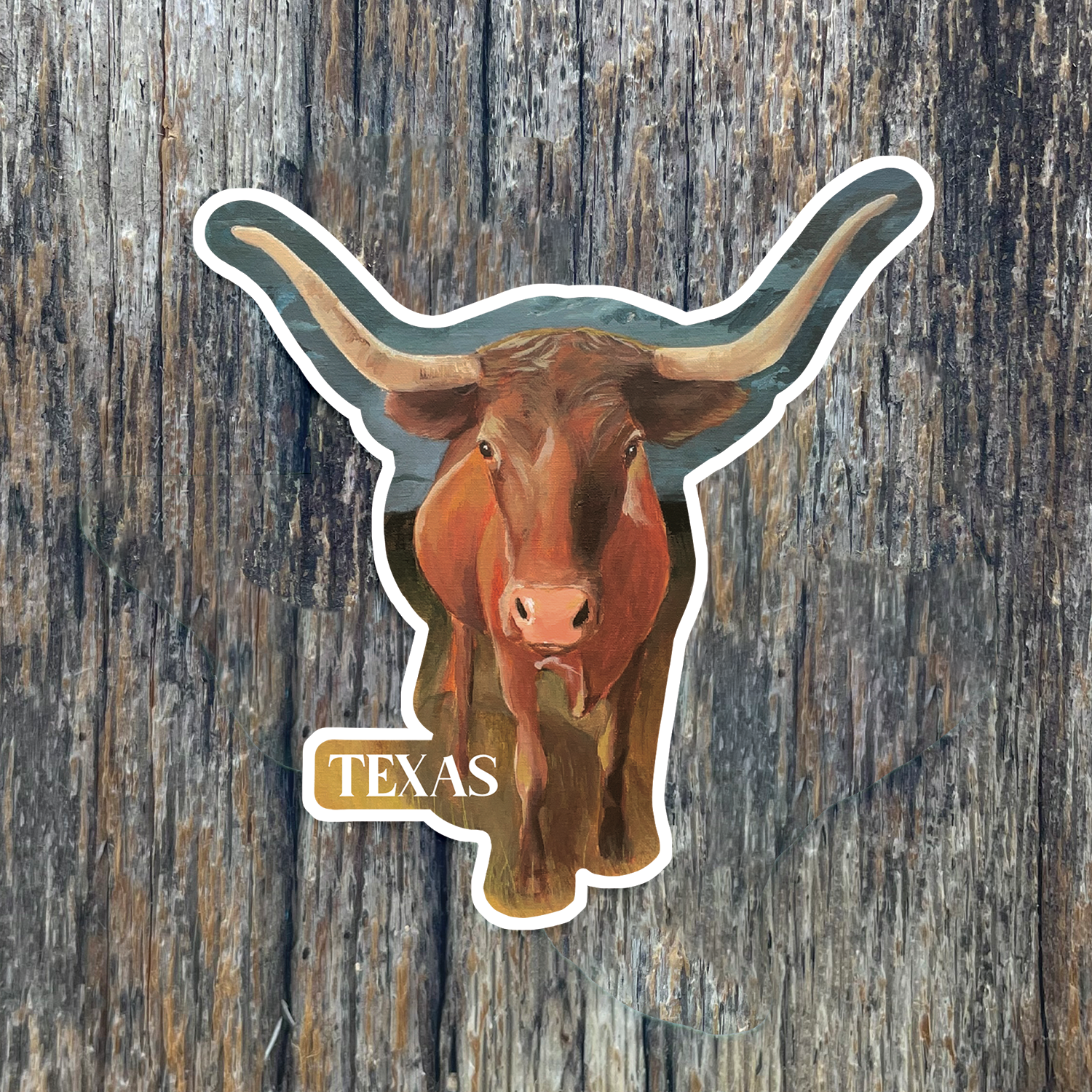 Texas Bull Sticker