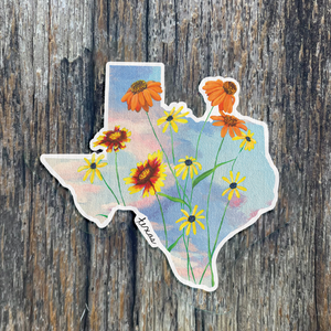 Texas Skies and Wildflowers