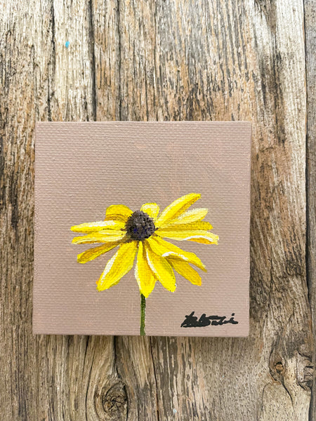 Black-eyed Susan Wildflower Study