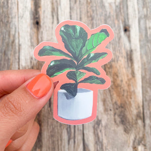 It's a Ficus! Vinyl Sticker