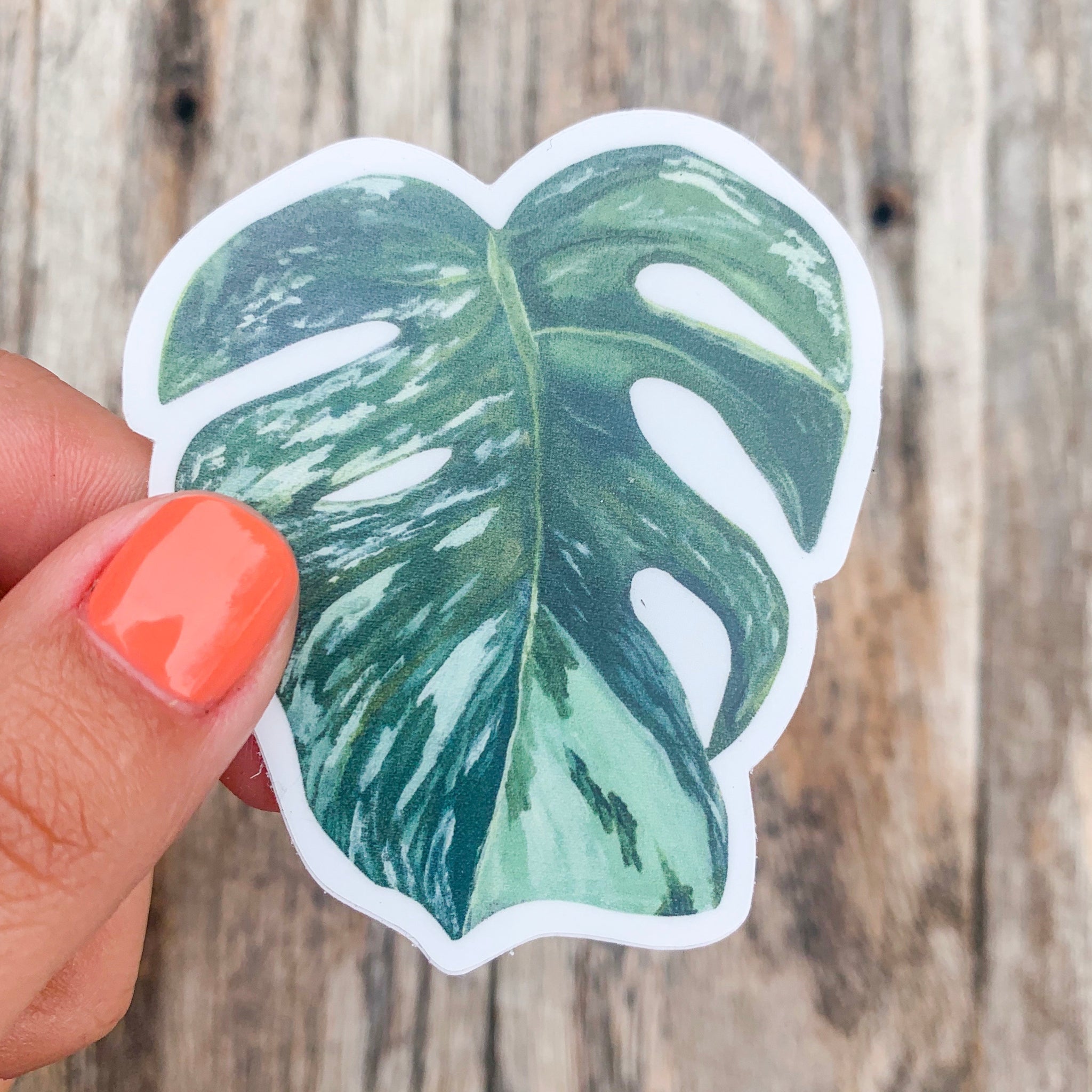 Snow Monstera Vinyl Sticker