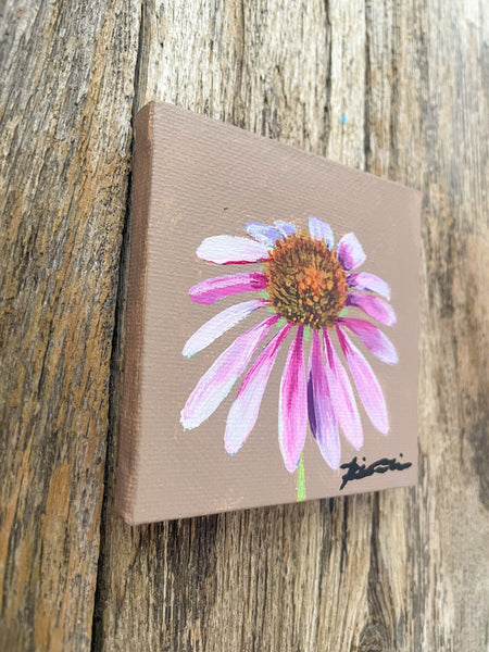 Coneflower Wildflower Study